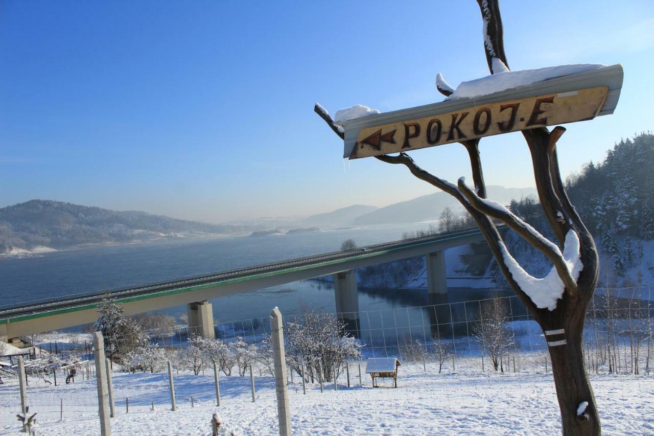Jaszczurowa Nad Zalewem 빌라 외부 사진