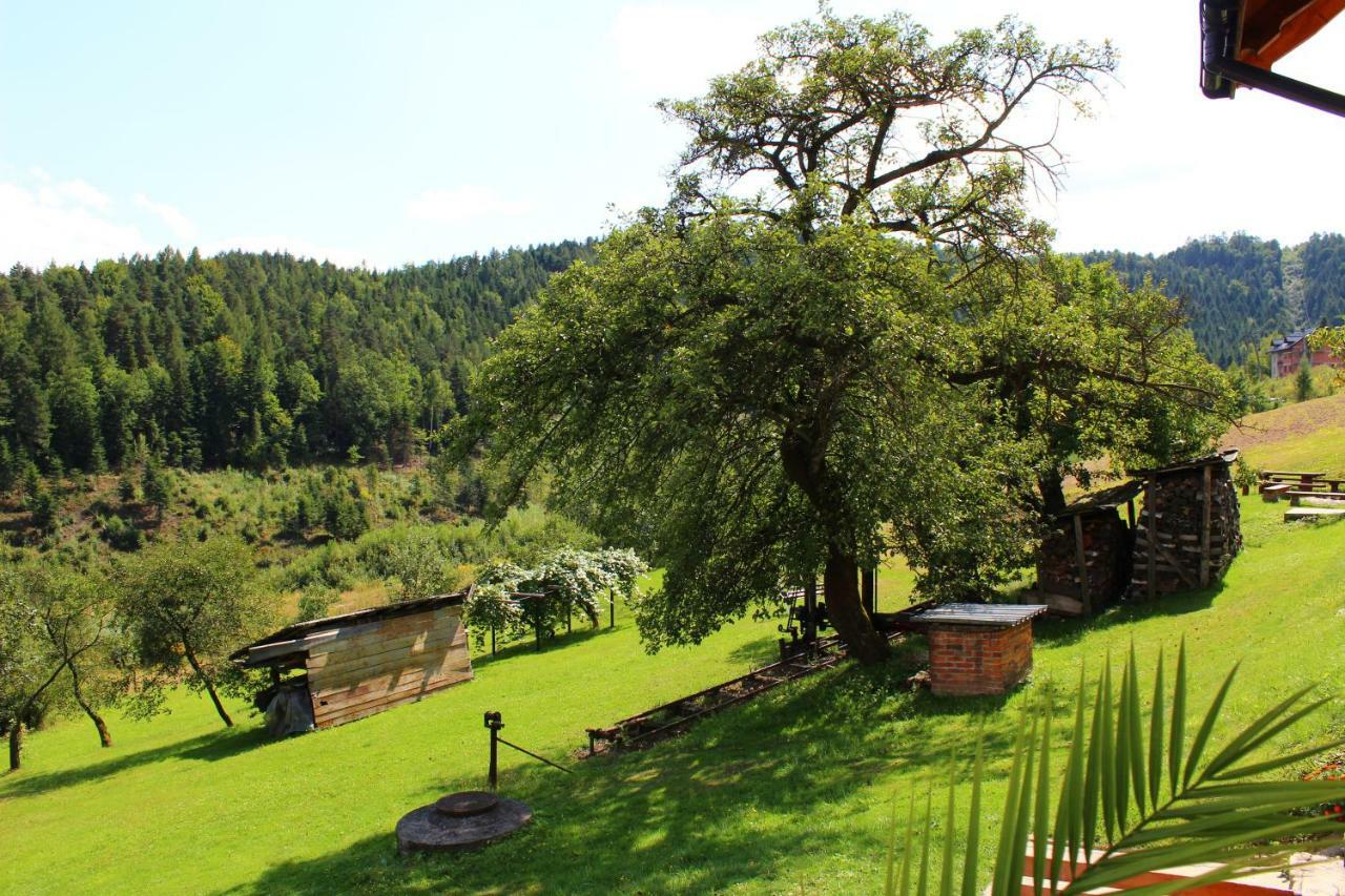 Jaszczurowa Nad Zalewem 빌라 외부 사진
